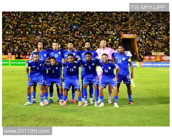 奥地利足球奇迹之路:从附加赛逆袭至世界杯八强荣耀